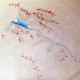 GUADALEST_Estudio-impacto-ambiental_Mapa-agua