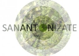 SAN-ANTON_logotipo