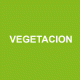 Estudio vegetación
